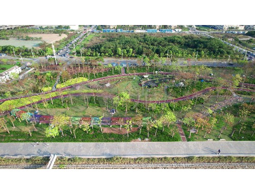 宁河市政绿化常用树