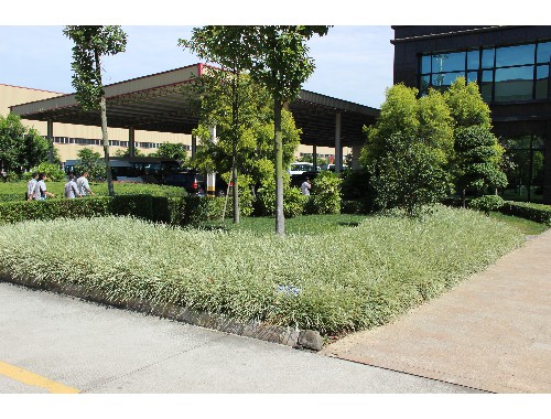 新建小区绿化工程几月份开始完工