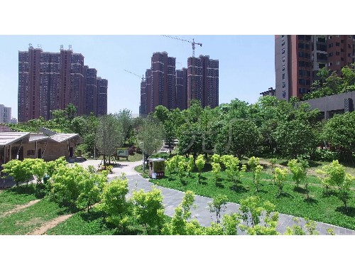 香河园林绿化工程有限公司