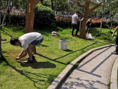翔安厂区绿化工程