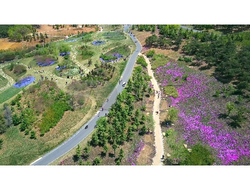 杨浦区上门城市绿化市场价