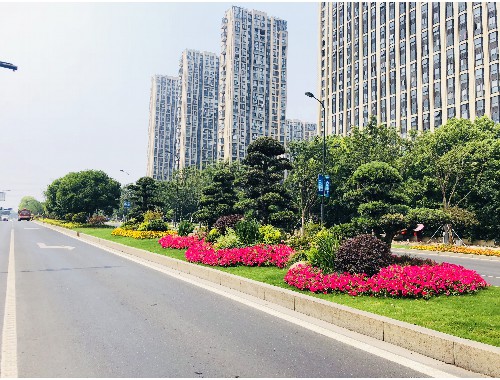 盱眙绿化工程施工现场