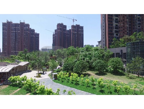 新源县绿化工程政务网