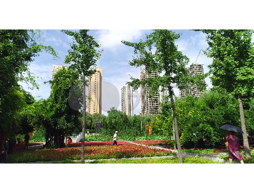 云南城市绿化占用办法规定